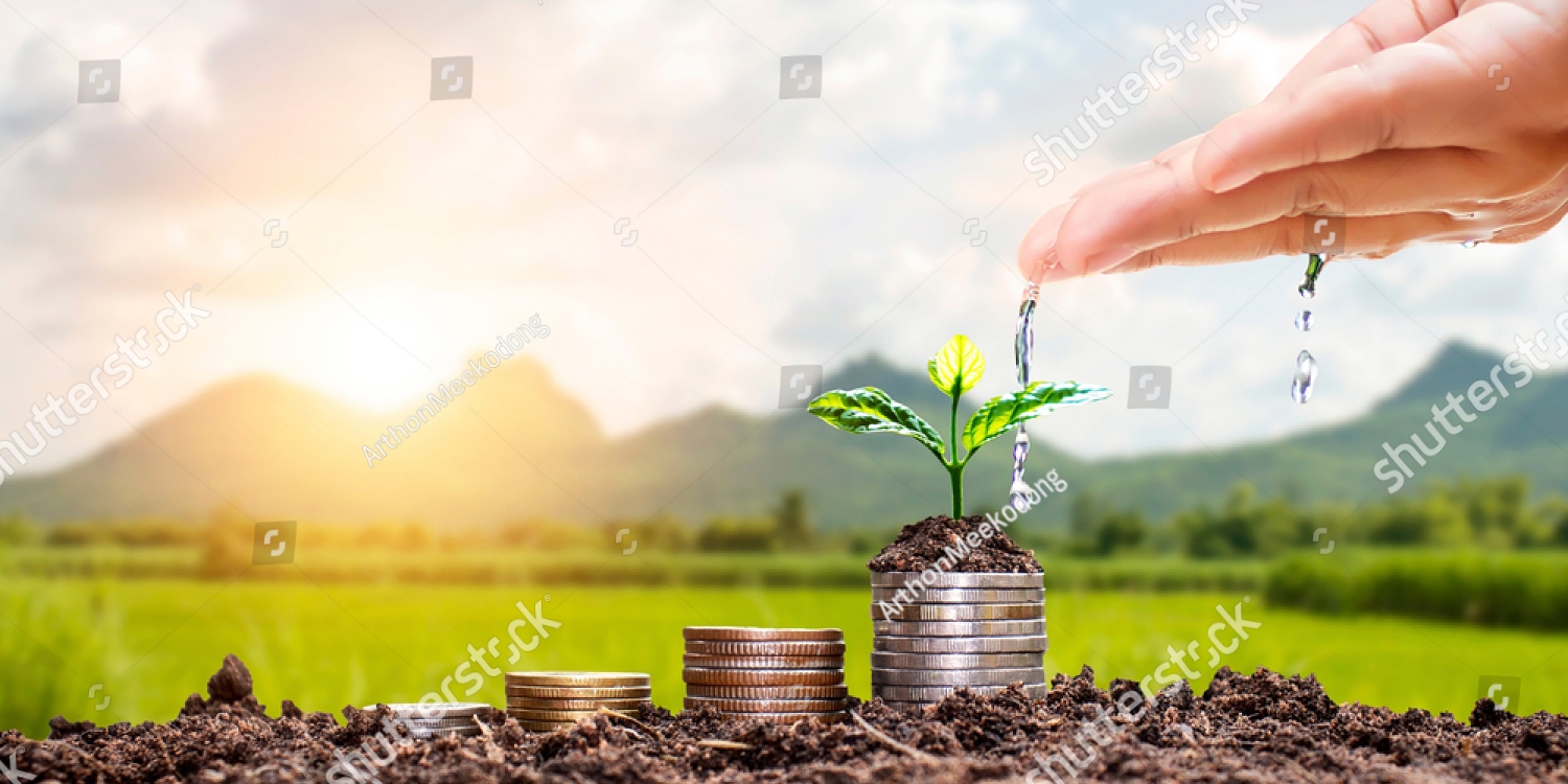 stock-photo-farmers-hands-are-watering-trees-on-top-of-coins-stacked-on-a-blurred-natural-background-and-1708500841_copy_1500x750
